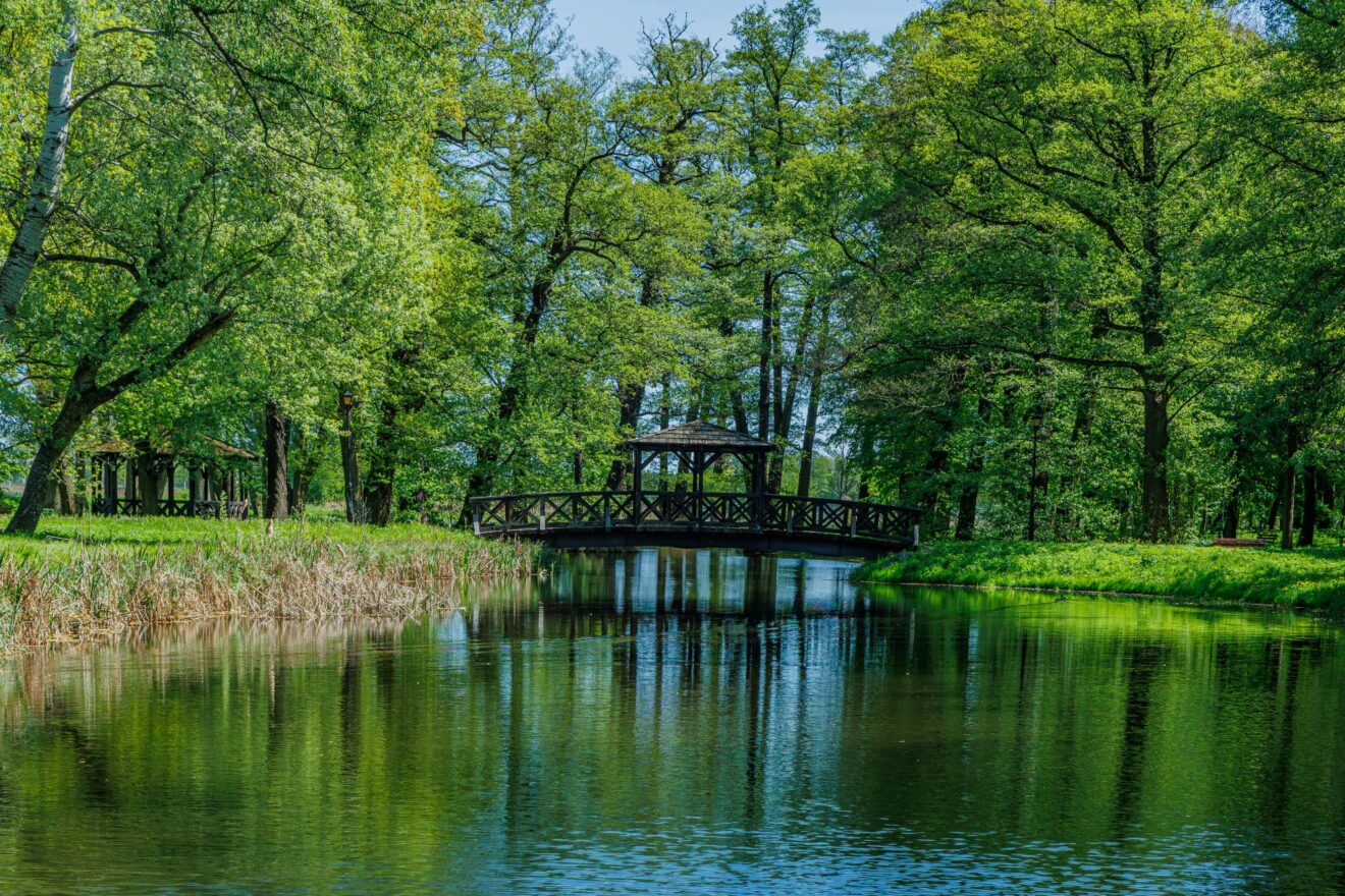 park leśny planty z widokiem na staw i altanę