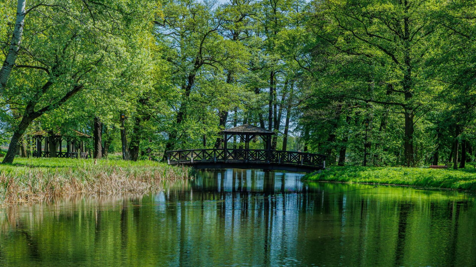park leśny planty z widokiem na staw i altanę