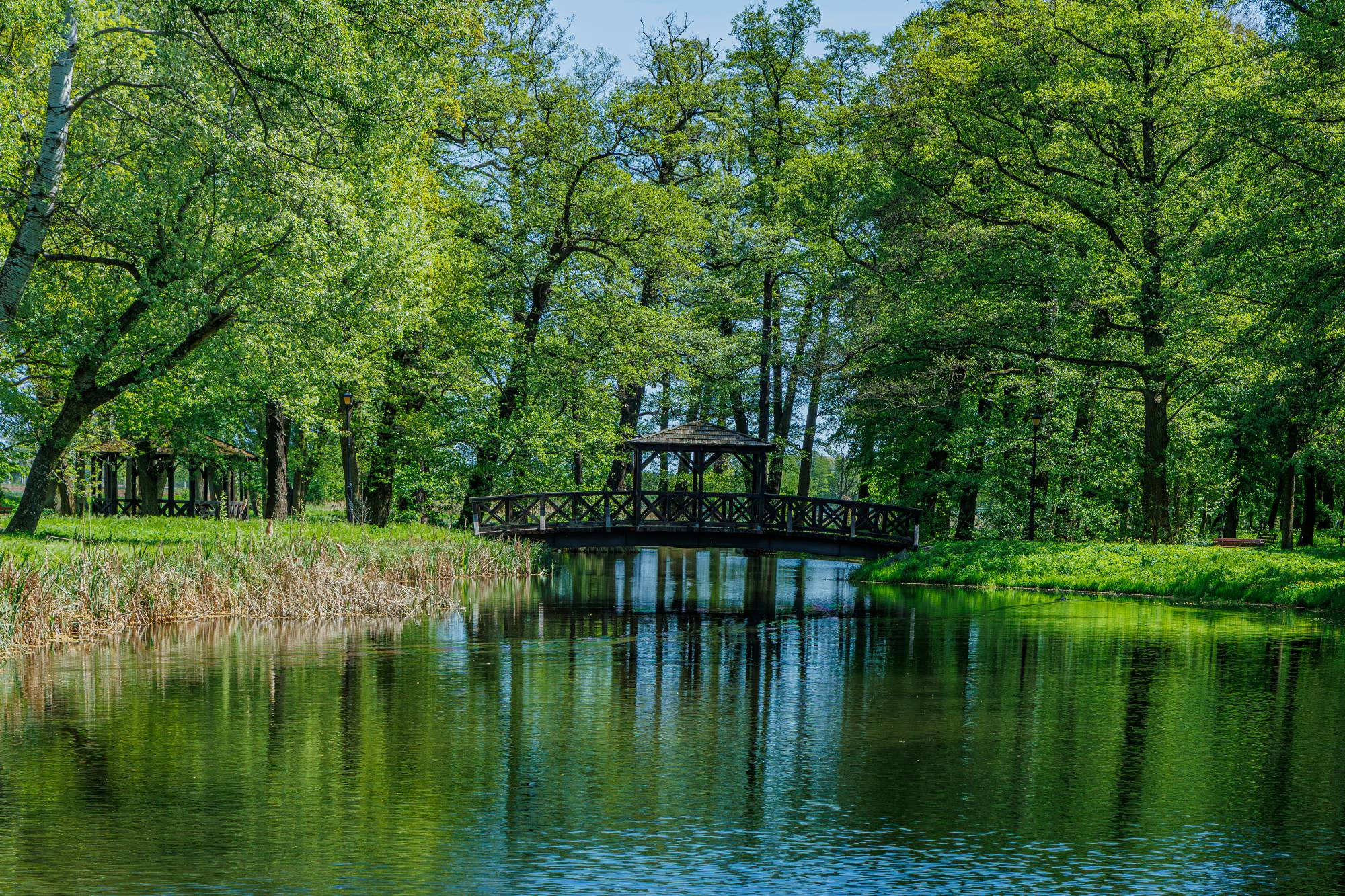 0025-edit park leśny planty z widokiem na staw i altanę