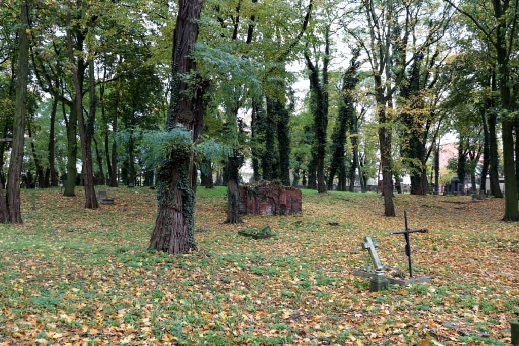 Zdjęcie przedstawia teren Cmentarza Ewangelickiego znajdującego się przy dawnym kościele ewangelickim w Pleszewie