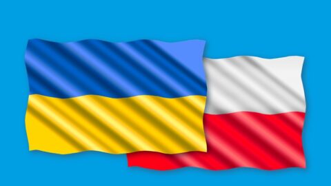 plansza pzedstawia flagę polską i ukraińską oraz loga Miasta i Gminy Pleszew i Powiatu Pleszewskiego