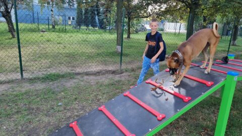 wybieg dla psów na Osiedlu Piastowskim oraz właściciel psa ze swoim pupilem korzystający z urządzeń