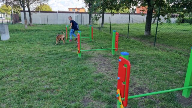 wybieg dla psów na Osiedlu Piastowskim oraz właściciel psa ze swoim pupilem korzystający z urządzeń 