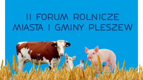 Grafika II Forum Rolniczego Miasta i Gminy Pleszew