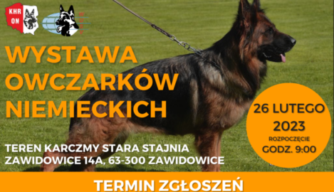 plakat wystawy owczarków niemieckich organizowanej przez KHRON na terenie Karczmy Stara Stajnia w Zawidowicach dnia 26 lutego 2023 roku o godzinie 9:00.