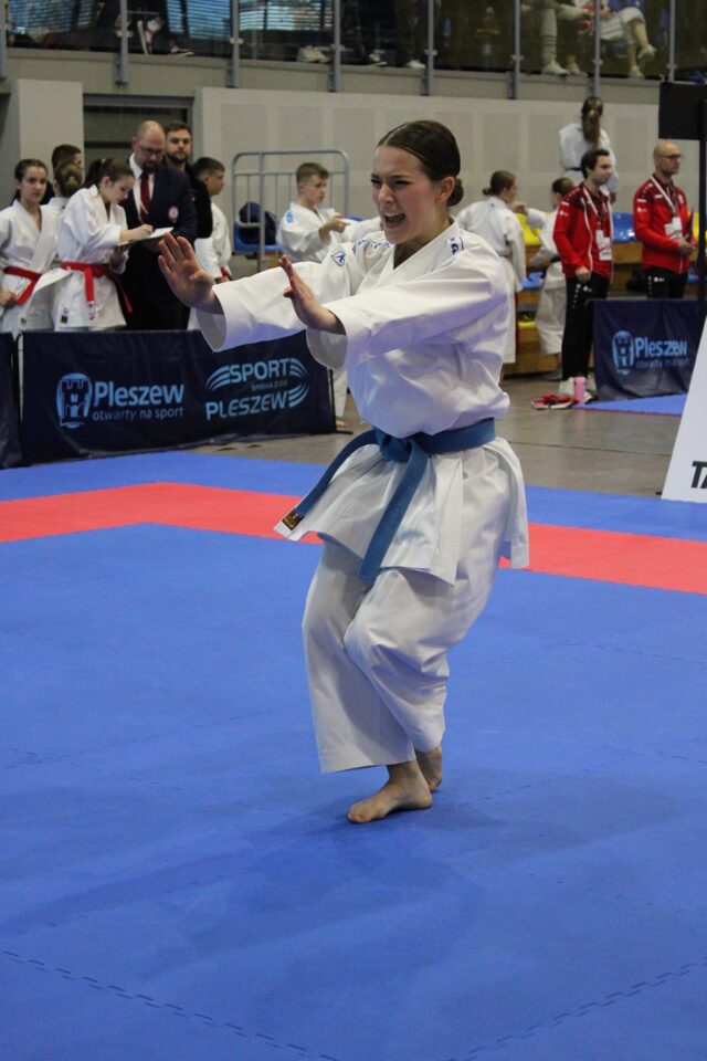 Zdjęcie przedstawia walkę w ramach turnieju rankingowego Central Poland Open Grand Prix Karate WKF w Pleszewie.