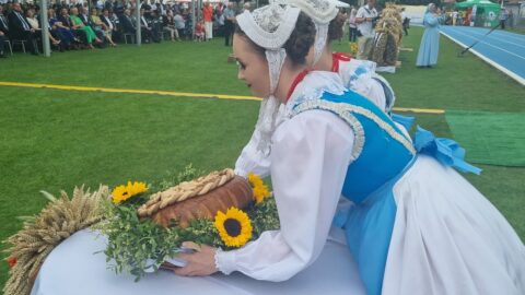 Obrzęd wręczenia chleba podczas Wojewódzko-Diecezjalnych Dożynek Wielkopolskich w Pleszewie, wykonany przez ZPiT Łany.