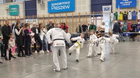 Pokazy taekwondo podczas Pleszewskich Spotkań Kolekcjonerskich odbywających się w Hali Widowiskowo-Sportowej w Pleszewie.