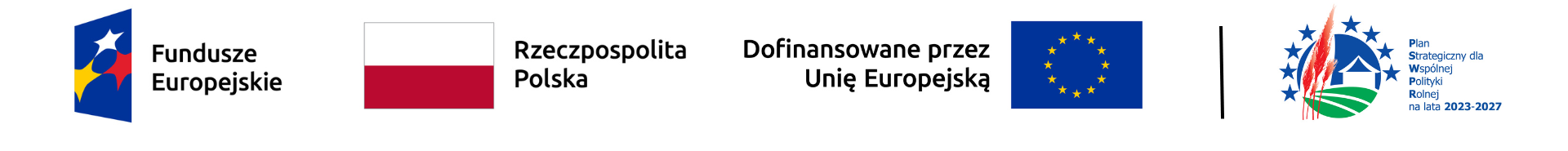 Logotypy funduszy europejskich, Rzeczpospolitej Polskiej, Unii Europejskiej i PSWPR