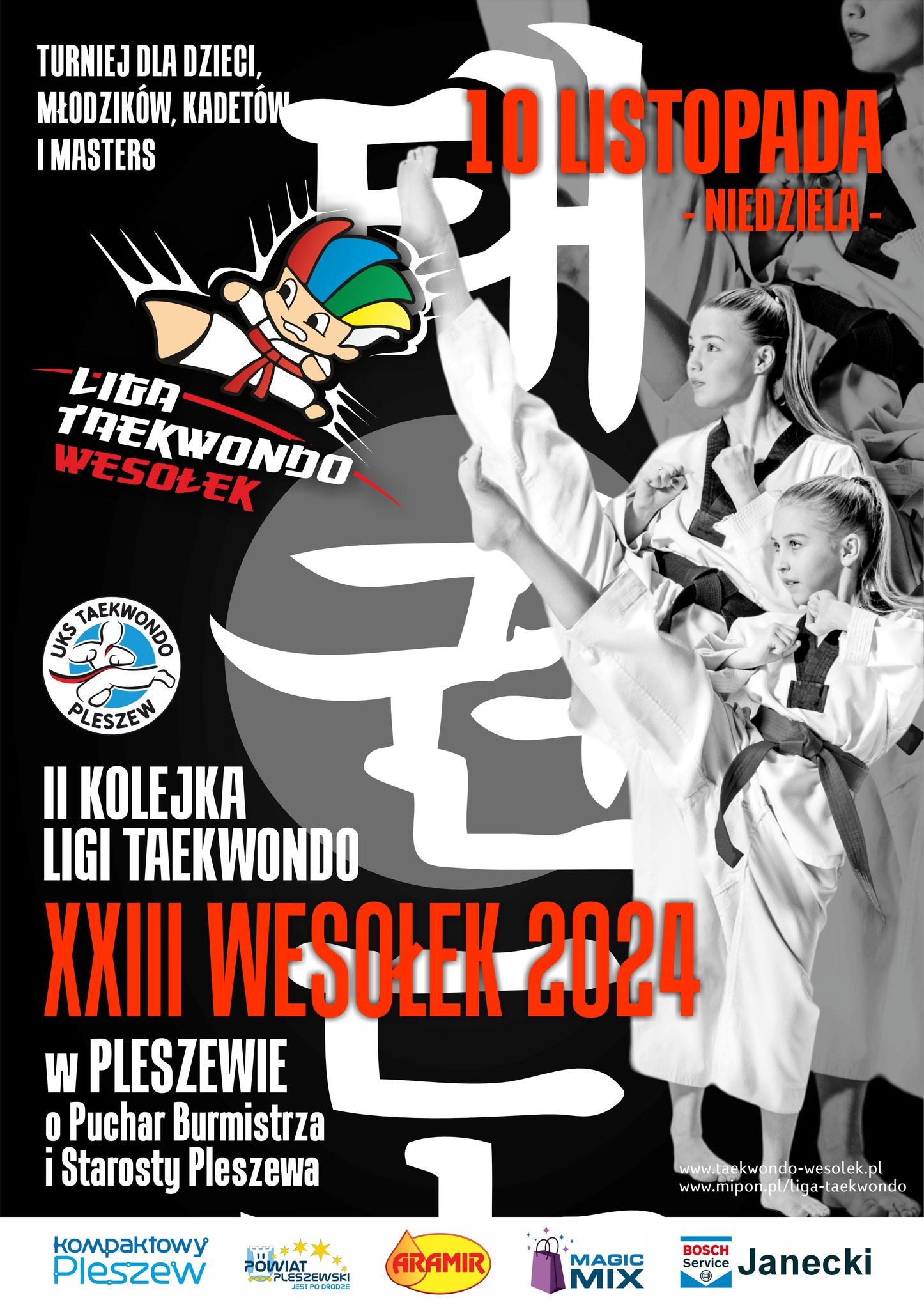 Plakat II kolejki Taekwondo XXIII Wesołek 2024 odbywającej się w Pleszewie 10 listopada 2024.