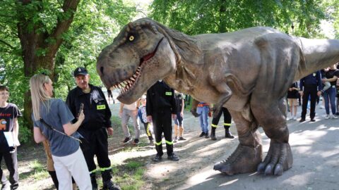 dinozaur i obserwatorzy w parku miejskim w pleszewie.