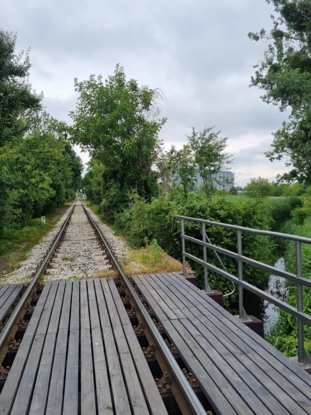 Miejsce pomiędzy ulicami Sienkiewicza i Samulskiego, gdzie powstanie ścieżka rowerowa i deptak.