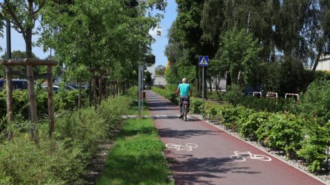 droga rowerowa z zielenią, po której jedzie rowerzysta