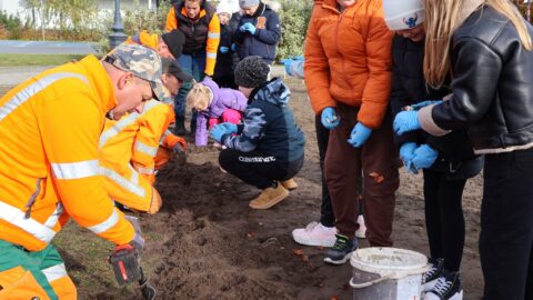 Dzieci z pomocą dorosłych sadzące kwiaty na skwerze przy bibliotece w Pleszewie.