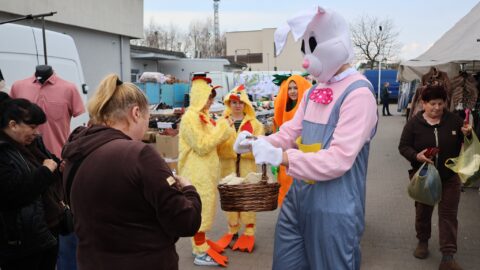 Krolik i marchewki oraz kurczaki rozdają slodycze z okazji świąt przechodniom na mieście.
