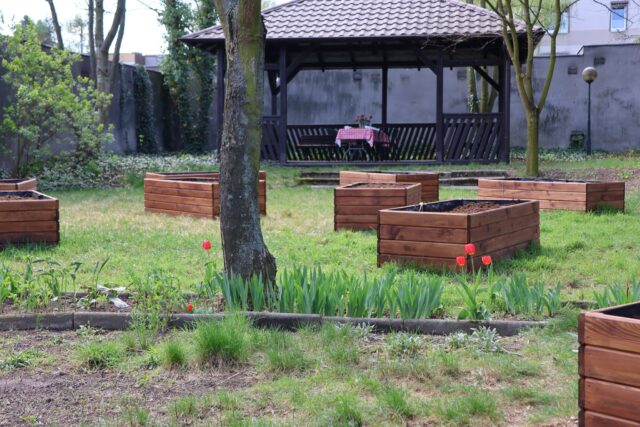 Ogród, w którym stoją skrzynie do uprawiania warzyw, owoców, ziół i kwiatów.