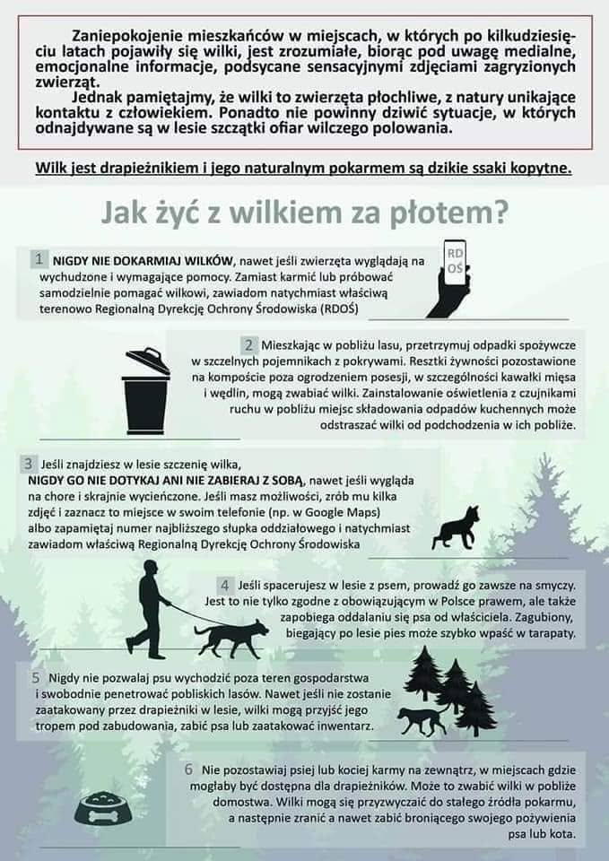 ulotka dotycząca zachowań w przypadku spotkania wilka i sposobów na unikanie tych zwierząt.